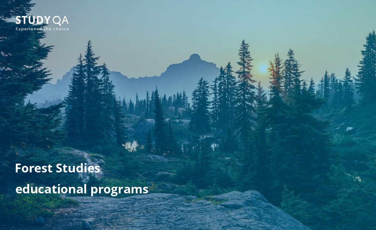 Forest Studies education programs are taught at many universities around the world. Compare tuition fees, course duration and content and entry requirements at different levels of study on the StudyQA website.