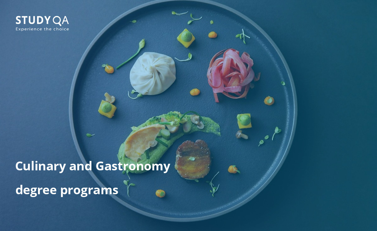 Culinary and Gastronomy education programs are taught at many foreign universities. This page contains 133 programs from universities around the world.