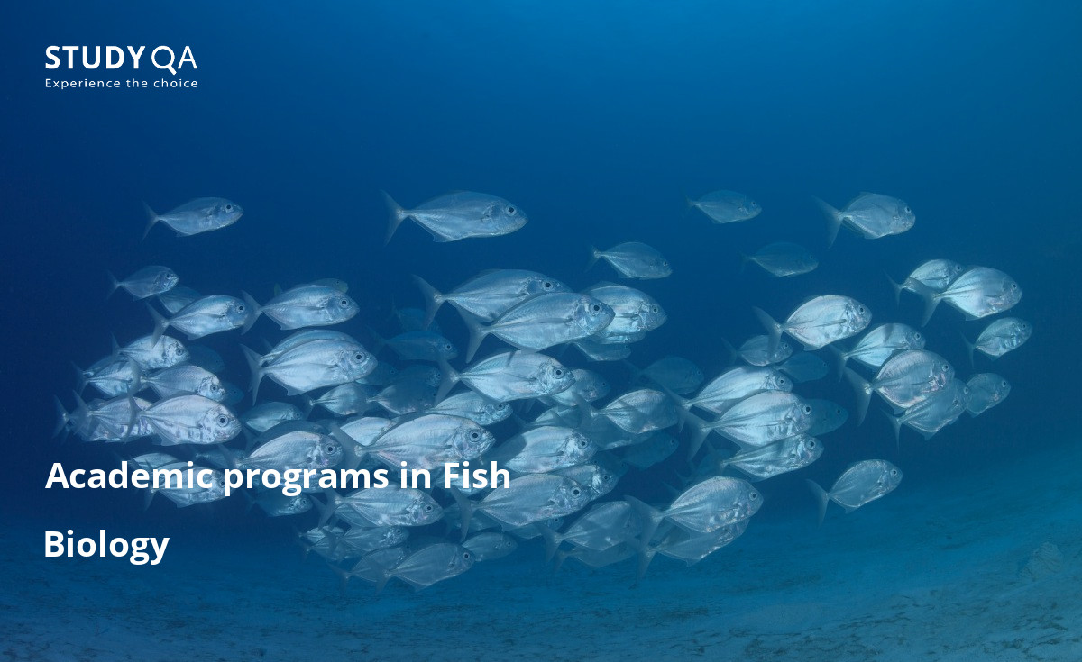 Fish biology bachelor's degree lay the groundwork required for future career development in government and business. Read more about the study programs and admission requirements on this page.