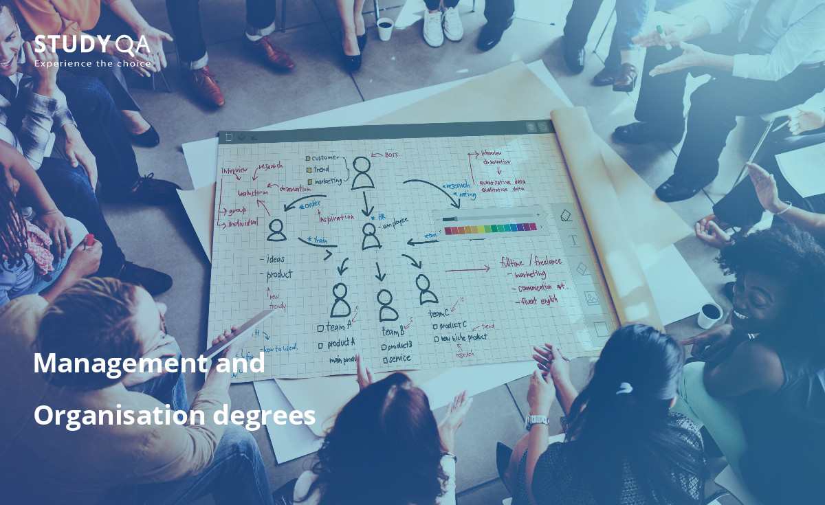 Looking for the best management and organisation degrees? 