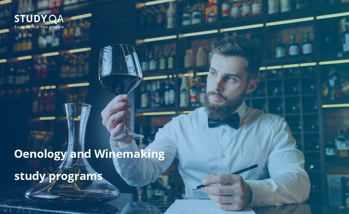 Study the world of wine with oenology and winemaking study programs from top universities around the world. 