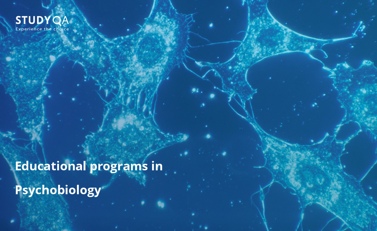 Educational programs in Psychobiology There are lots of students who want to pursue Academic programs in Psychobiology.
