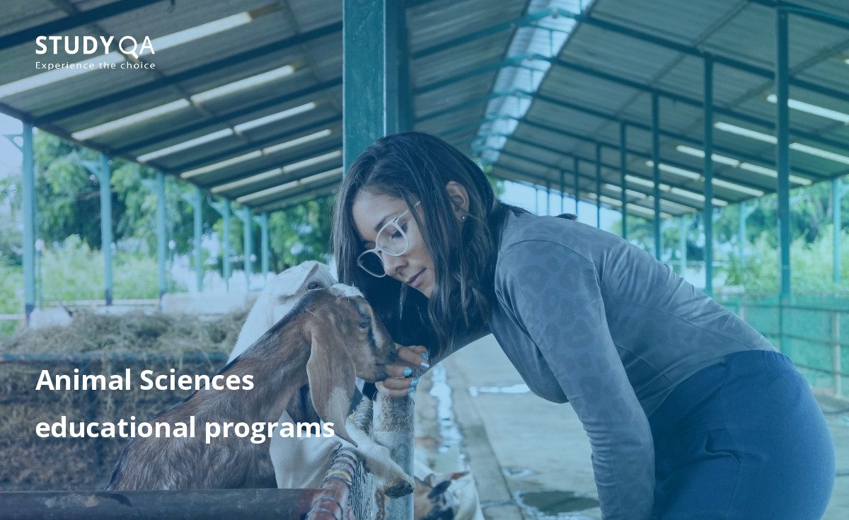 Learn about degree programs in animal science, which can lead to a career in agricultural management or production. 