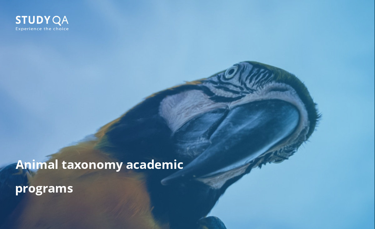 Animal taxonomy is a scheme for classifying animals, especially hierarchical classifications in which subjects are organized into groups or genres