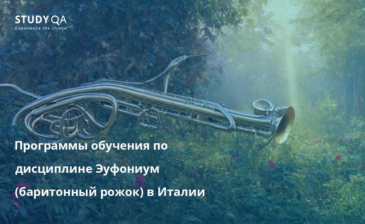 Программы обучения по дисциплине Эуфониум (баритонный рожок) в Италии Ищете отличную программу обучения по специальности Эуфониум в Италии? Обратите внимание на музыкальную консерваторию "Дж. Верди" в Милане или музыкальную консерваторию "Л. Керубини" во Флоренции. Эти программы предлагают студентам комплексное образование в области исполнительства и педагогики для баритонального рожка, а также дают им богатые знания и опыт.
