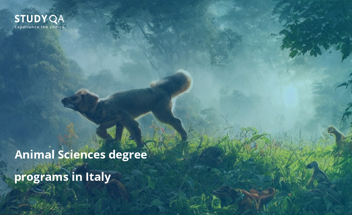 Animal Sciences degree programs in Italy Animal Sciences is an interdisciplinary field of study that encompasses the study of all animals, both domesticated and wild. It includes the study of their biology, behavior, and ecology. Animal Sciences is a popular field of study at universities around the world, and there are many different programs available in this area.