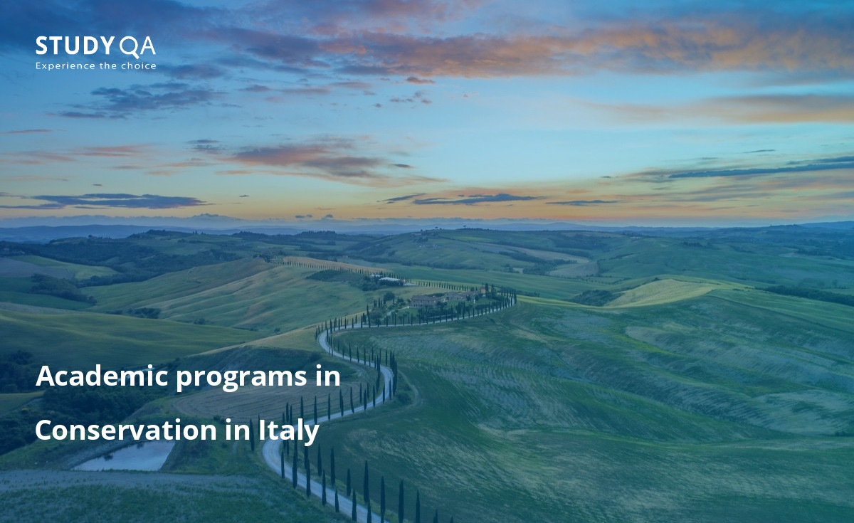 Academic programs in Conservation in Italy