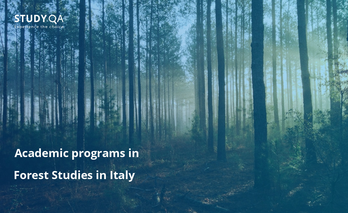 Explore the world of Forest Studies in Italy with a Bachelor's degree program.