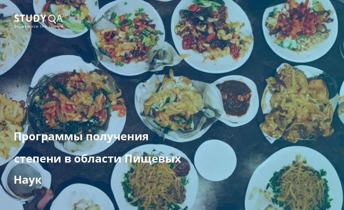 Программы получения степени в области Пищевых Наук Если вы заинтересованы в карьере в области пищевой науки и технологии, магистерская программа по пищевой науке в Италии - идеальный выбор. Итальянские университеты предлагают целый ряд отличных программ в этой области, и вы получите образование мирового класса в этой увлекательной сфере.