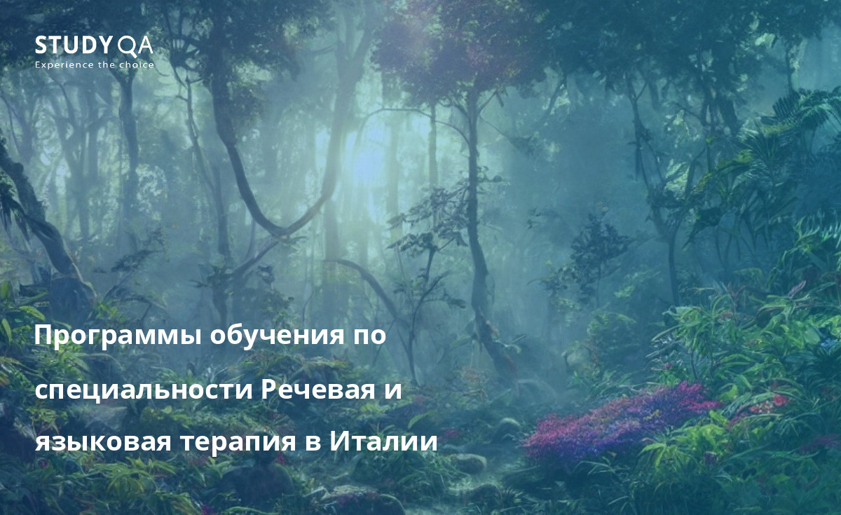Программы бакалавриата по логопедии и языковой терапии в Италии предлагают студентам комплексное понимание природы коммуникативных расстройств и методов, используемых для их лечения. Студенты учатся оценивать и диагностировать проблемы общения, а также разрабатывать и реализовывать планы лечения.