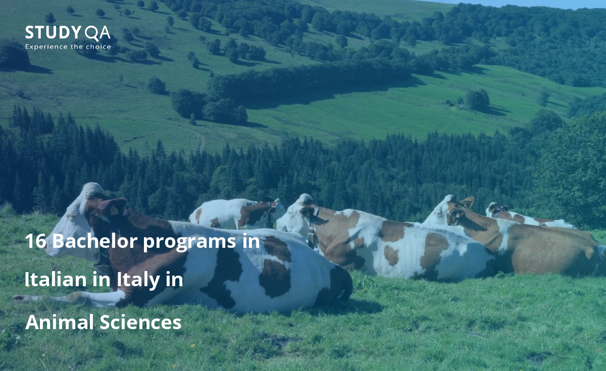 16 Bachelor programs in Italian in Italy in Animal Sciences 16 Bachelor programs in Italian in Italy in Animal Sciences