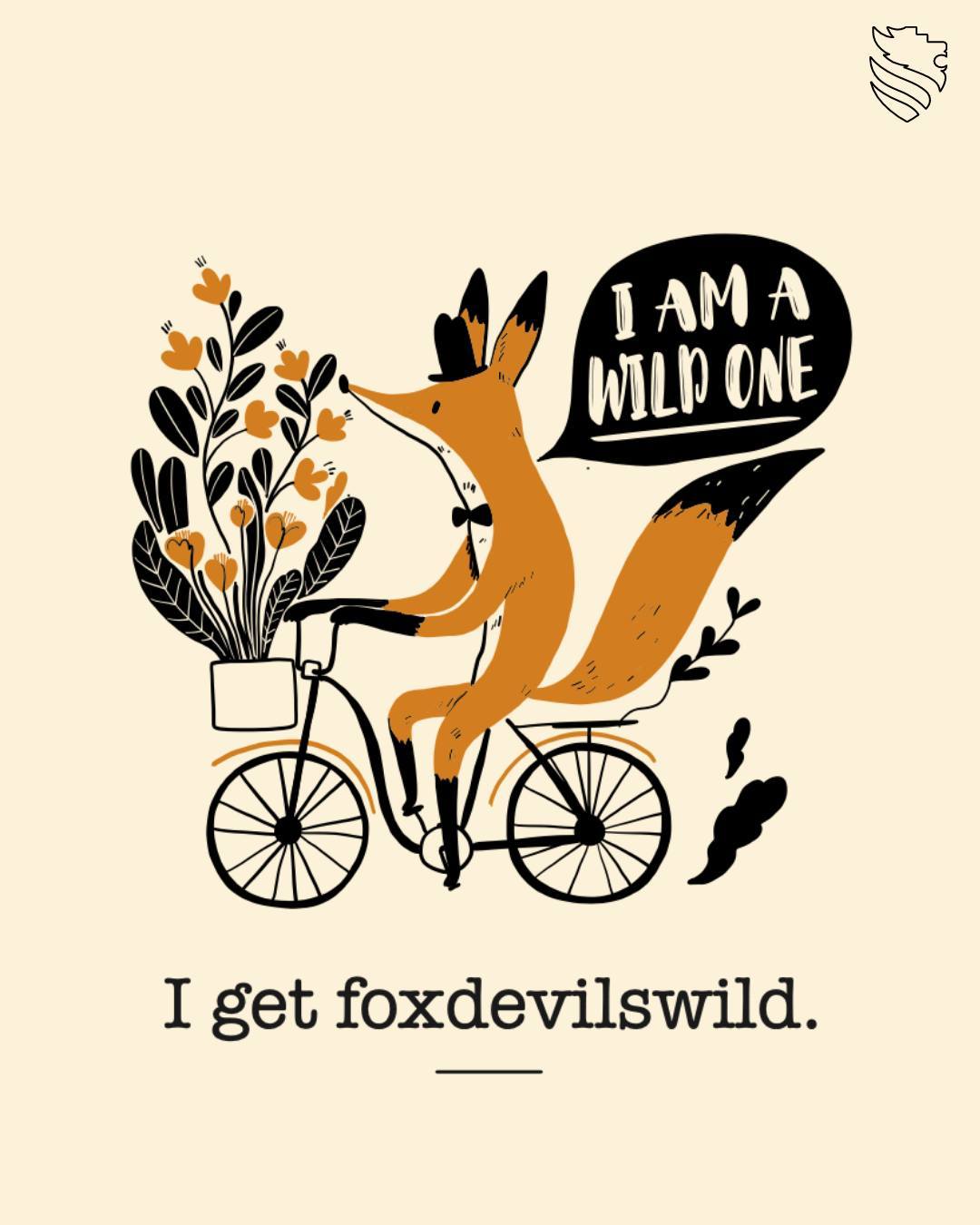 StudyQA — University of Applied Sciences Wiener Neustadt — Wiener