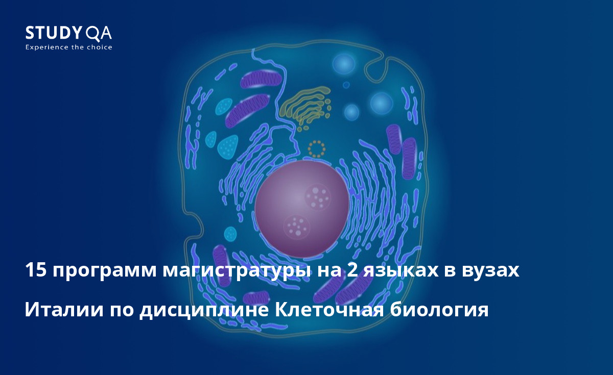 15 программ магистратуры на 2 языках в вузах Италии по дисциплине Клеточная биология 15 программ магистратуры на 2 языках в вузах Италии по дисциплине Клеточная биология