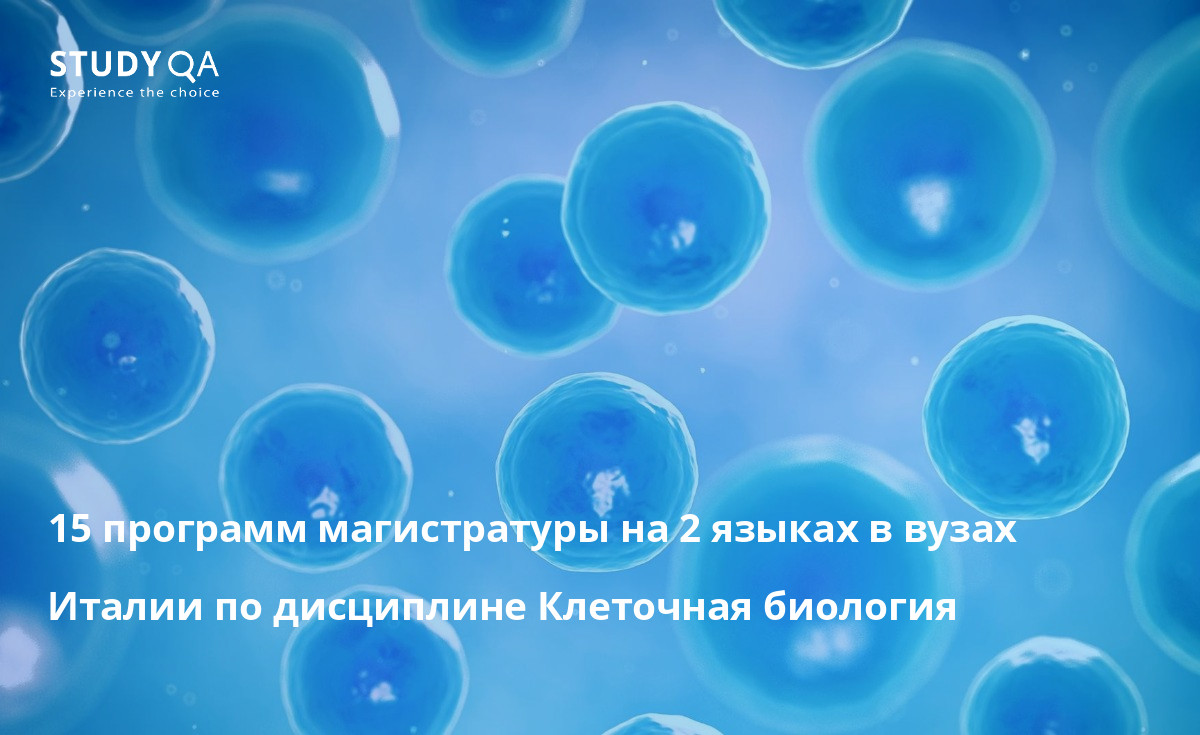 15 программ магистратуры на 2 языках в вузах Италии по дисциплине Клеточная биология 15 программ магистратуры на 2 языках в вузах Италии по дисциплине Клеточная биология