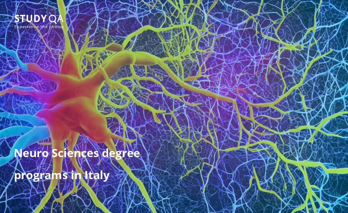 Neuro Sciences degree programs in Italy Neuro Sciences Bachelor study programs in Italy are becoming more and more popular every year. This is because neuro sciences is a fascinating and rapidly growing field of study. Italy is home to some of the world’s best universities for neuro sciences, and students who graduate from these programs are highly sought after by employers.