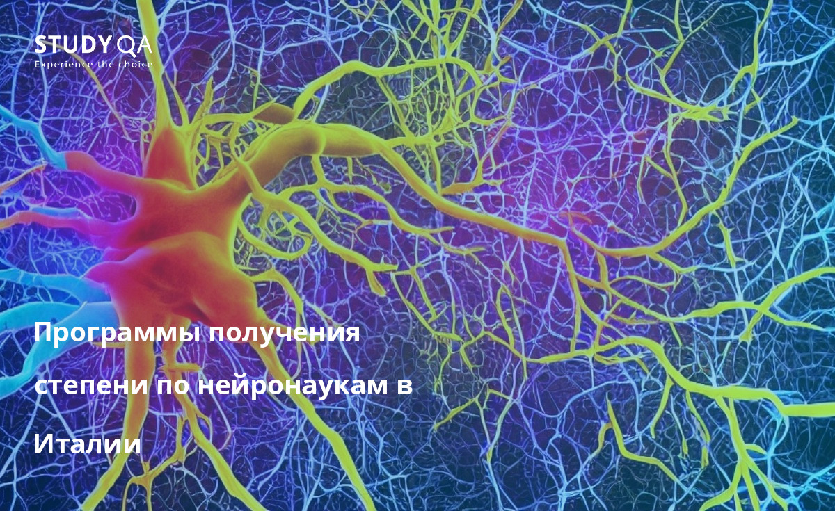 Программы получения степени по нейронаукам в Италии Программы бакалавриата по нейронаукам в Италии с каждым годом становятся все более популярными. Это объясняется тем, что нейронауки - увлекательная и быстро развивающаяся область знаний. В Италии находятся одни из лучших в мире университетов по нейронаукам, и студенты, окончившие эти программы, пользуются большим спросом у работодателей.