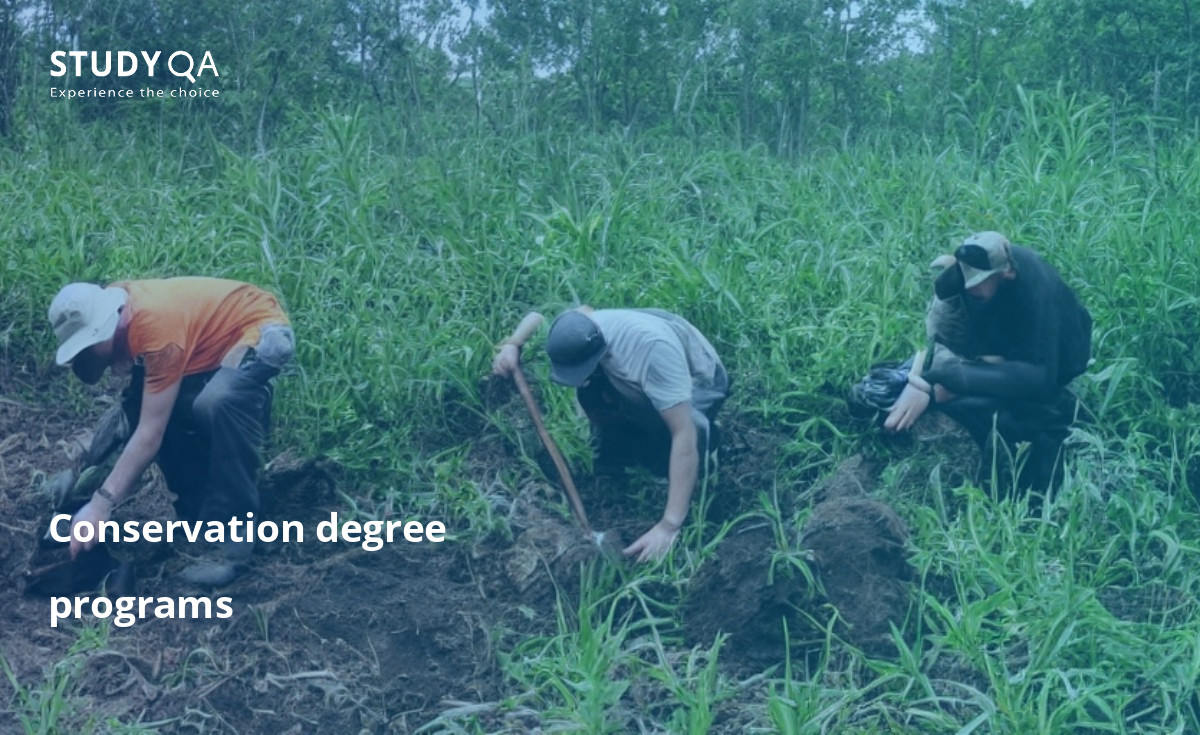 Conservation degree programs in Italy Conservation is an academic program that is taught in many universities. On this page you can find tuition fees, entry requirements, program courses of each university that offers this program.