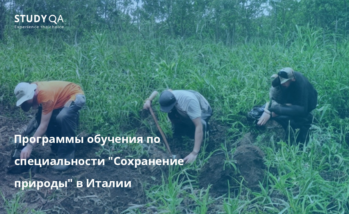 Программы обучения по специальности "Сохранение природы" в Италии Сохранение природы — это академическая программа, которая преподается во многих университетах. На этой странице вы найдете информацию о стоимости обучения, вступительных требованиях, программах курсов каждого университета, предлагающего данную программу.
