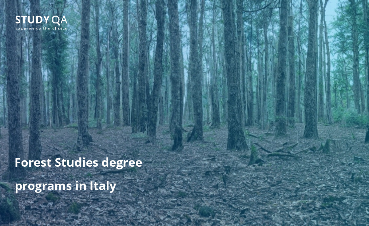 Forest Studies degree programs in Italy Forest Studies study programs in Italy offer students the opportunity to learn about the ecology and management of forests, as well as the economic, social, and environmental aspects of forestry.
