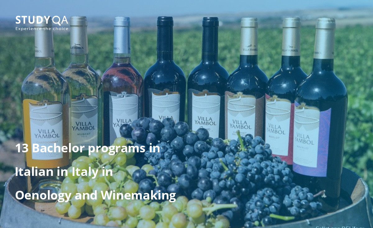 13 Bachelor programs in Italian in Italy in Oenology and Winemaking 13 Bachelor programs in Italian in Italy in Oenology and Winemaking