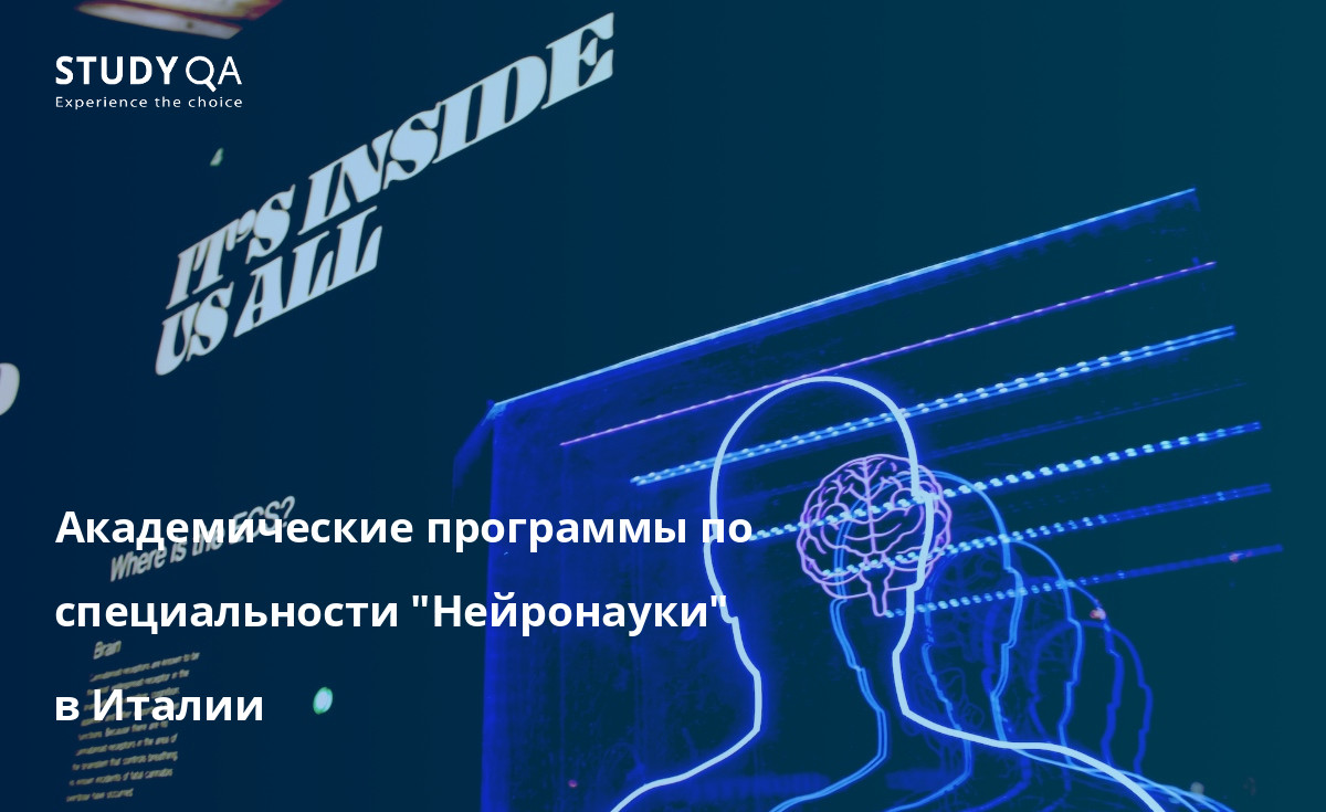 Академические программы по специальности "Нейронауки" в Италии Изучайте структуру и функции человеческого мозга и нервной системы с помощью базовой академической программы по нейронаукам в Италии.