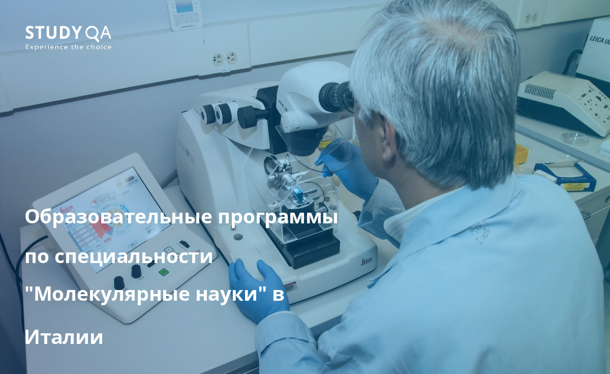 Образовательные программы по специальности "Молекулярные науки" в Италии Сделайте карьеру в области молекулярных наук, пройдя очную магистерскую программу в Италии.