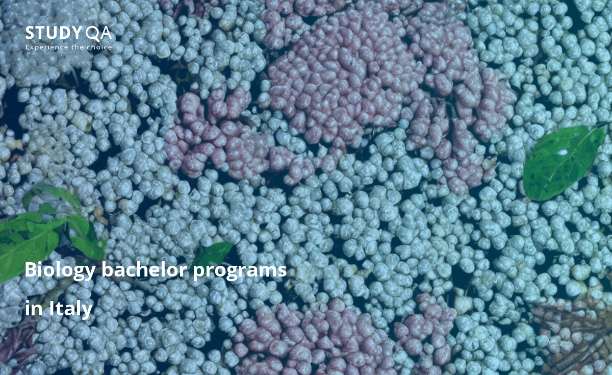 Biology bachelor programs in Italy Biology Bachelor study programs in Italy are very popular among students. They offer a great variety of courses and programs that can help you learn about the fascinating world of biology. If you want to study biology in Italy, you will have plenty of options to choose from, including universities, colleges, and private schools.