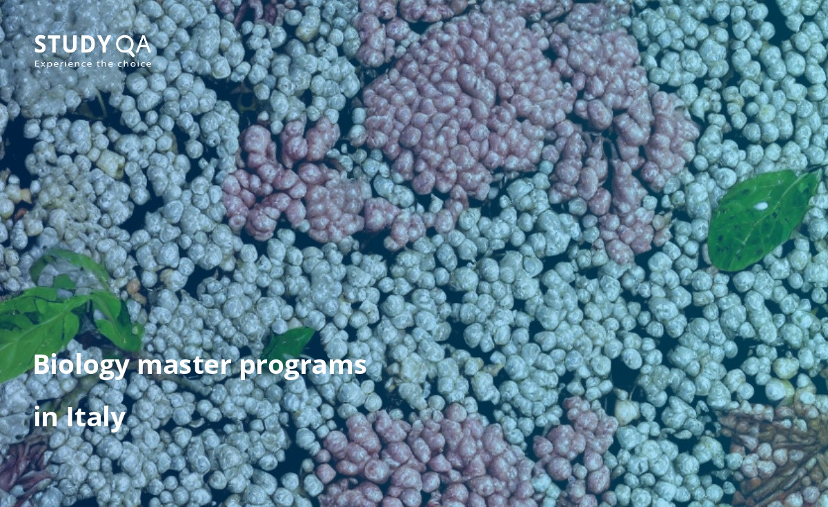 Biology master programs in Italy Biology Bachelor study programs in Italy are very popular among students. They offer a great variety of courses and programs that can help you learn about the fascinating world of biology. If you want to study biology in Italy, you will have plenty of options to choose from, including universities, colleges, and private schools.