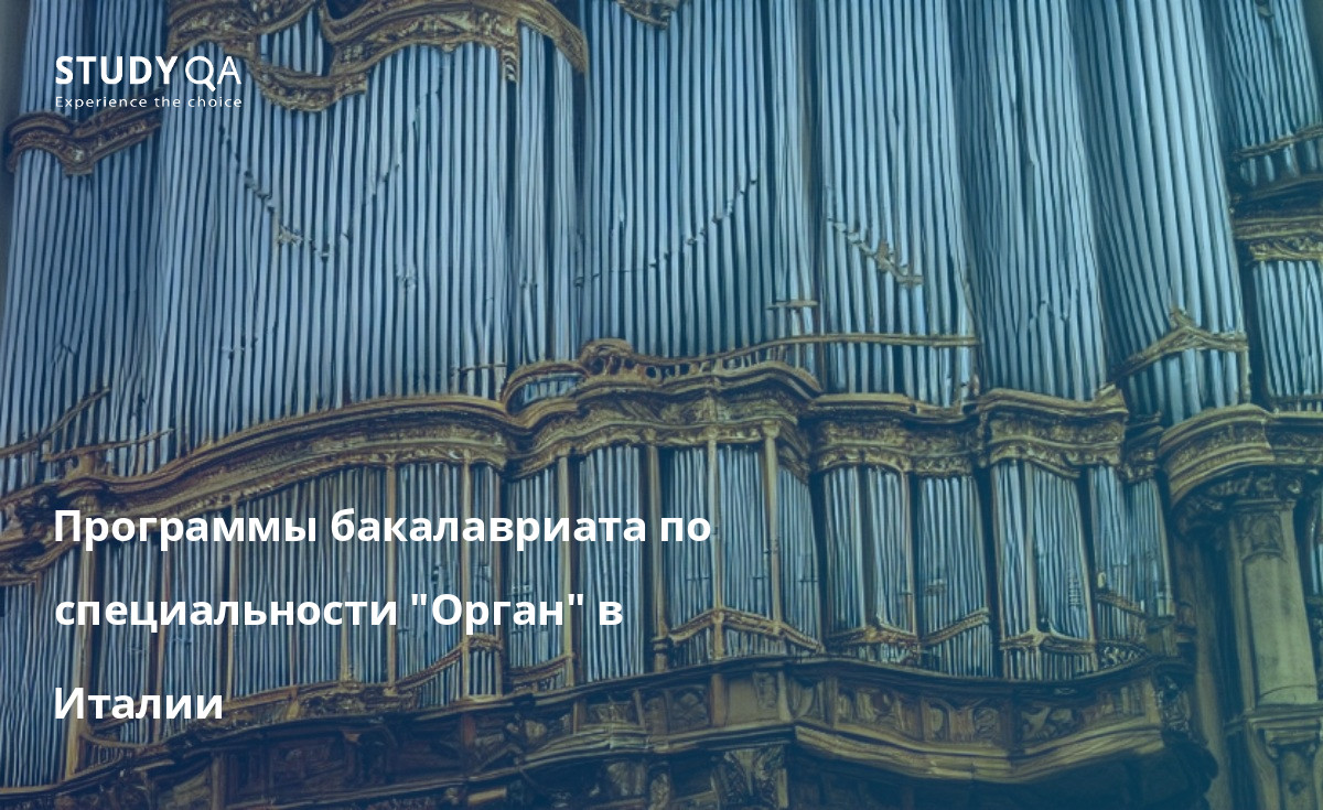 Программы бакалавриата по специальности "Орган" в Италии Бакалаврские программы по изучению органной музыки в Италии славятся своим качеством и строгостью. Студенты, поступившие на эти программы, могут рассчитывать на получение всестороннего образования по всем аспектам игры на органе и органной музыки.