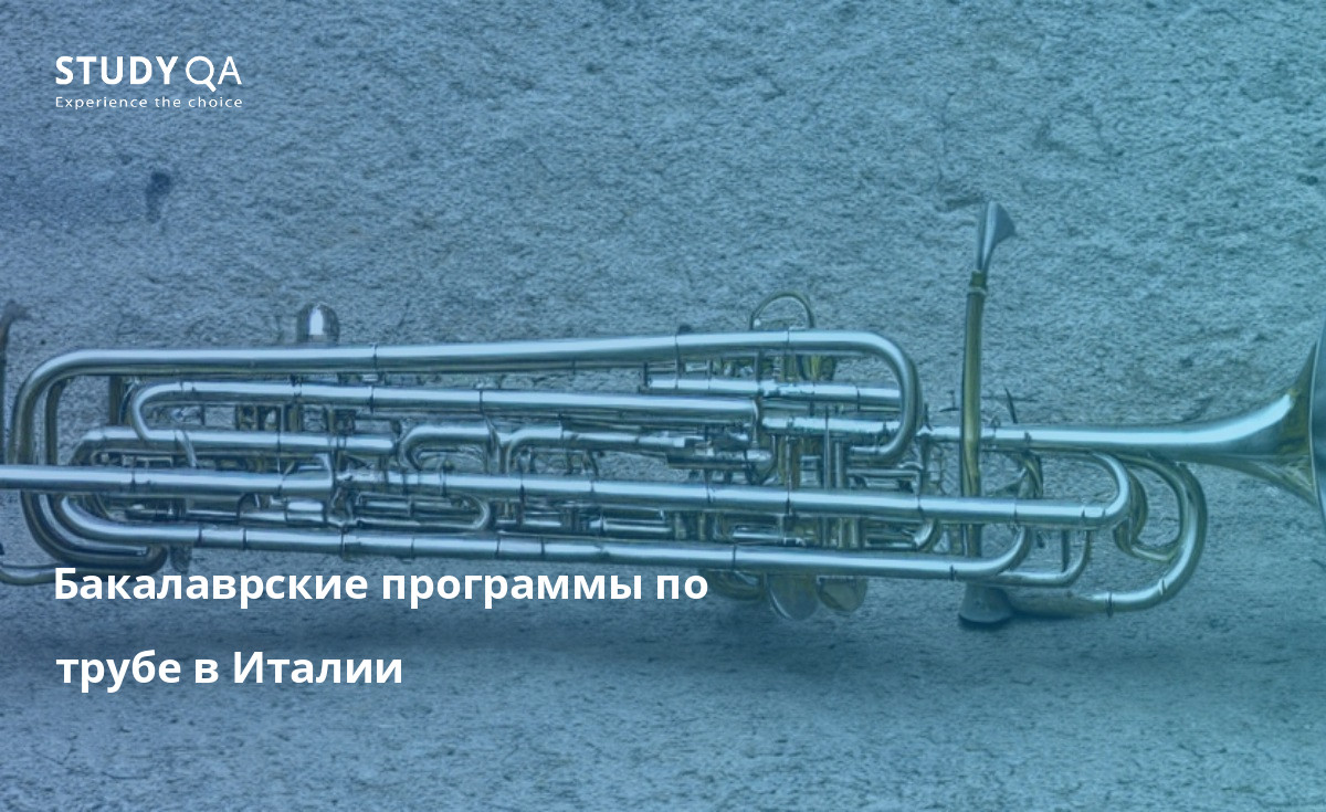Бакалаврские программы по трубе в Италии Учебные программы Trumpet Master в Италии предлагают студентам возможность учиться у одних из лучших профессоров-трубачей в мире. Эти программы обязательно помогут студентам улучшить свои навыки игры на трубе и достичь своих музыкальных целей.