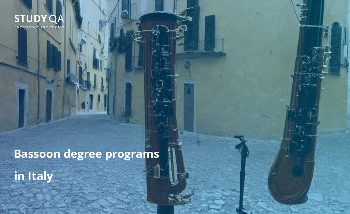 Bassoon degree programs in Italy Bassoon Bachelor study programs in Italy are very popular among the students. The programs are designed to provide students with a comprehensive and in-depth knowledge of the instrument. They also offer a great opportunity to learn about the Italian culture and music.