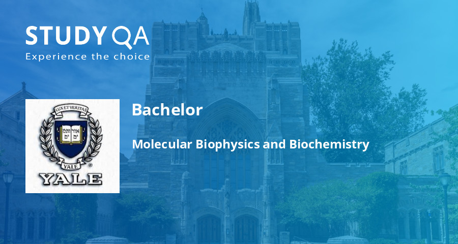 StudyQA — Bachelor: Molecular Biophysics And Biochemistry — Yale University