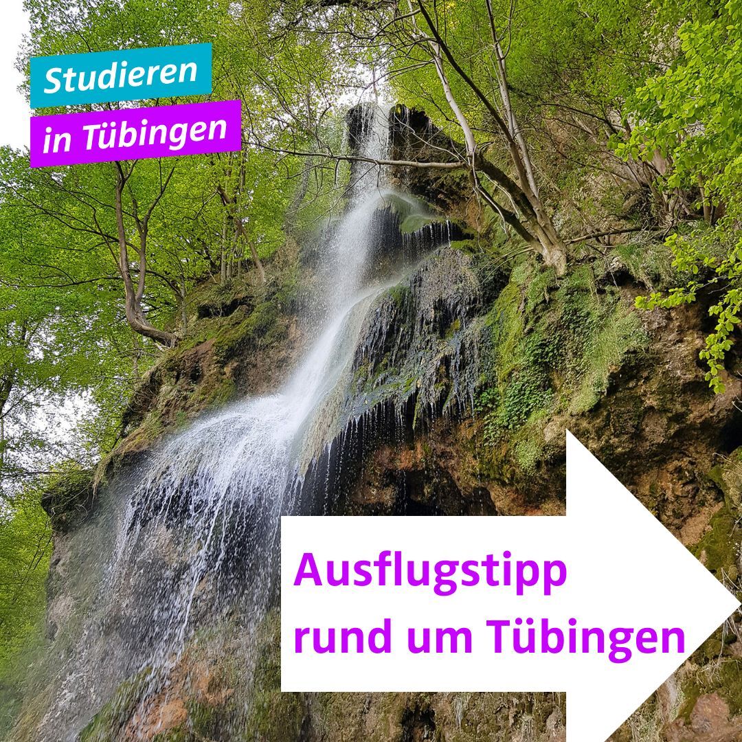 StudyQA — University of Tübingen — Tuebingen — Germany Fees, Rankings