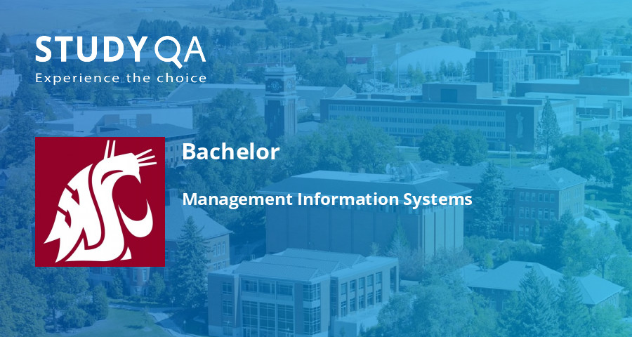 StudyQA — Bachelor: Management Information Systems — Washington State ...