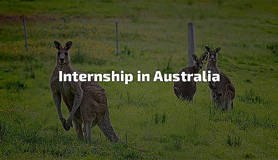 Professional internships in Australia for students and young professionals