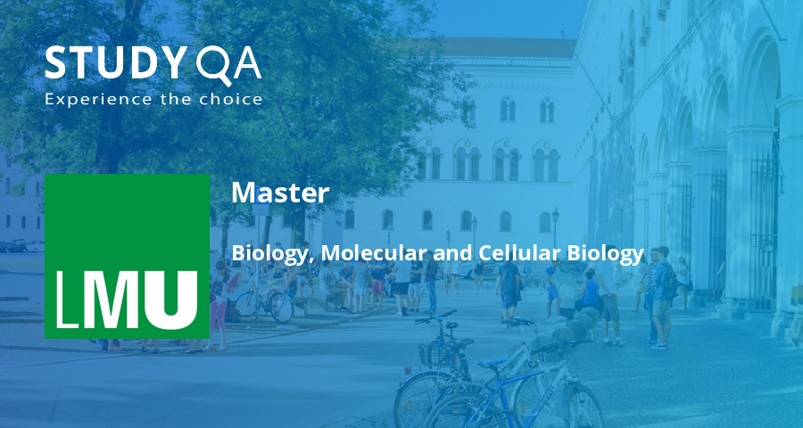 phd molecular biology munich