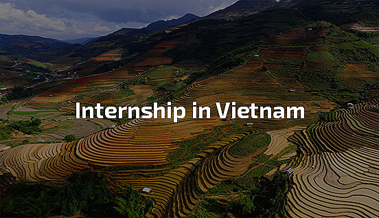 internship in Vietnam, professional internship abroad, job in Vietnam, vacancy in Vietnam