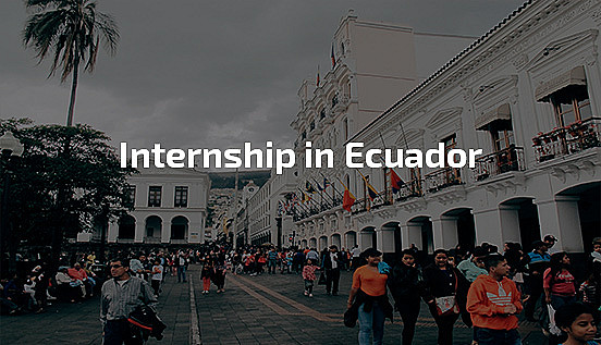 internship in Ecuador, professional internship abroad