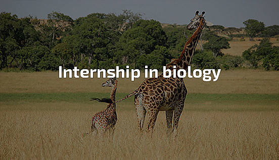 Internship in biology, biologist practice