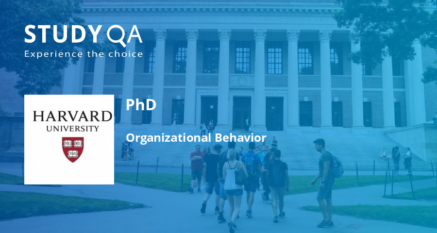 online phd organizational behavior