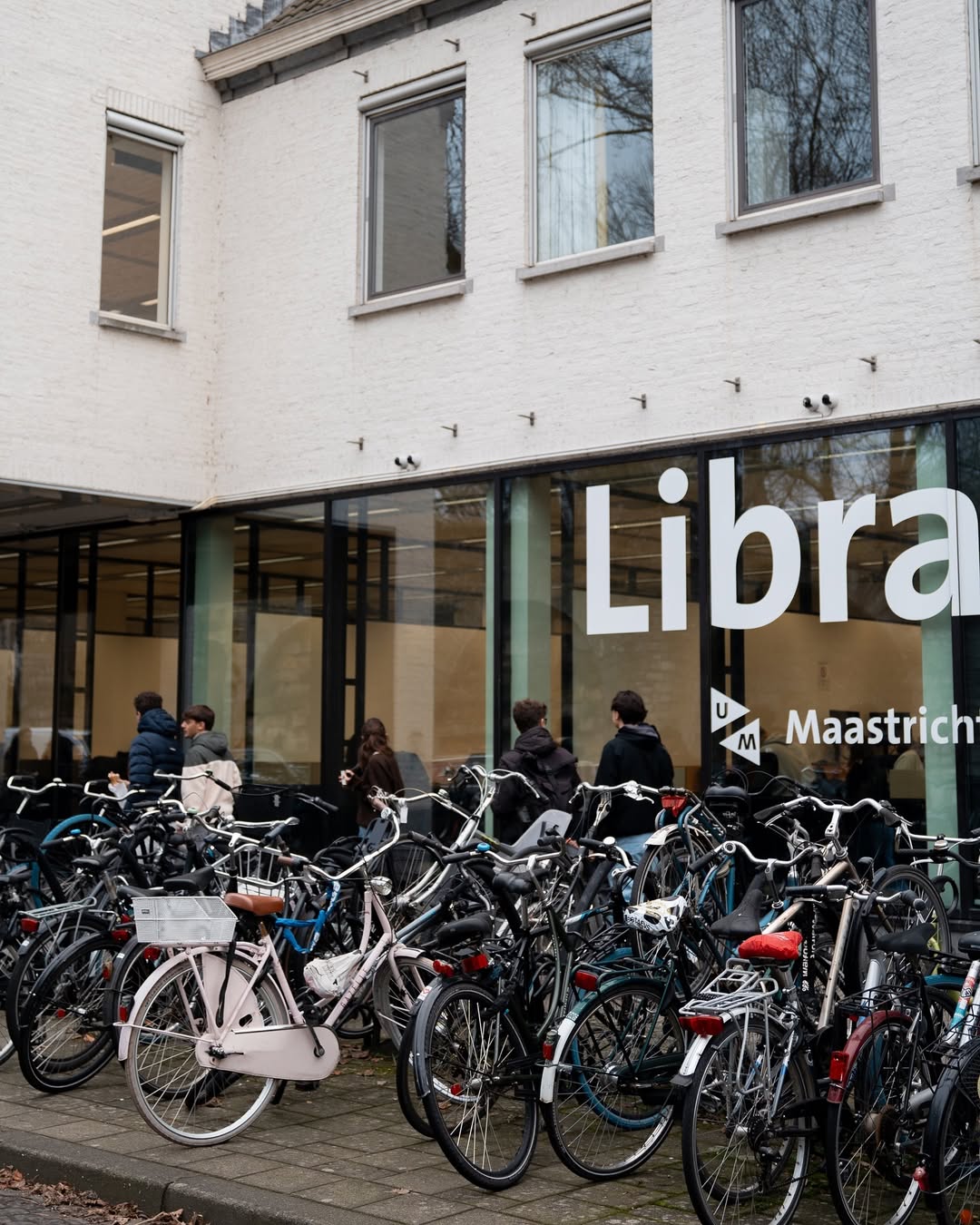 StudyQA — Bachelor: Psychology — Maastricht University