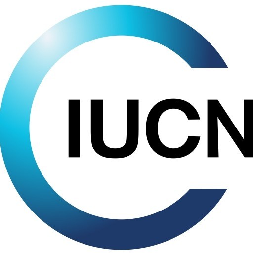 International University College of Nursing