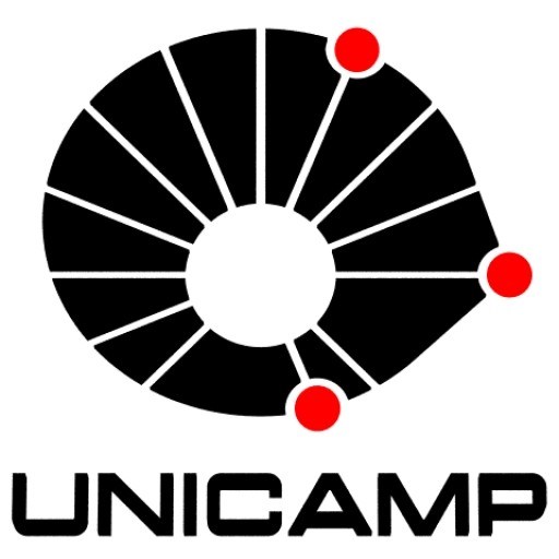 University of Campinas