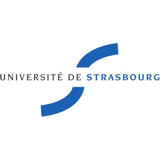 University of Strasbourg