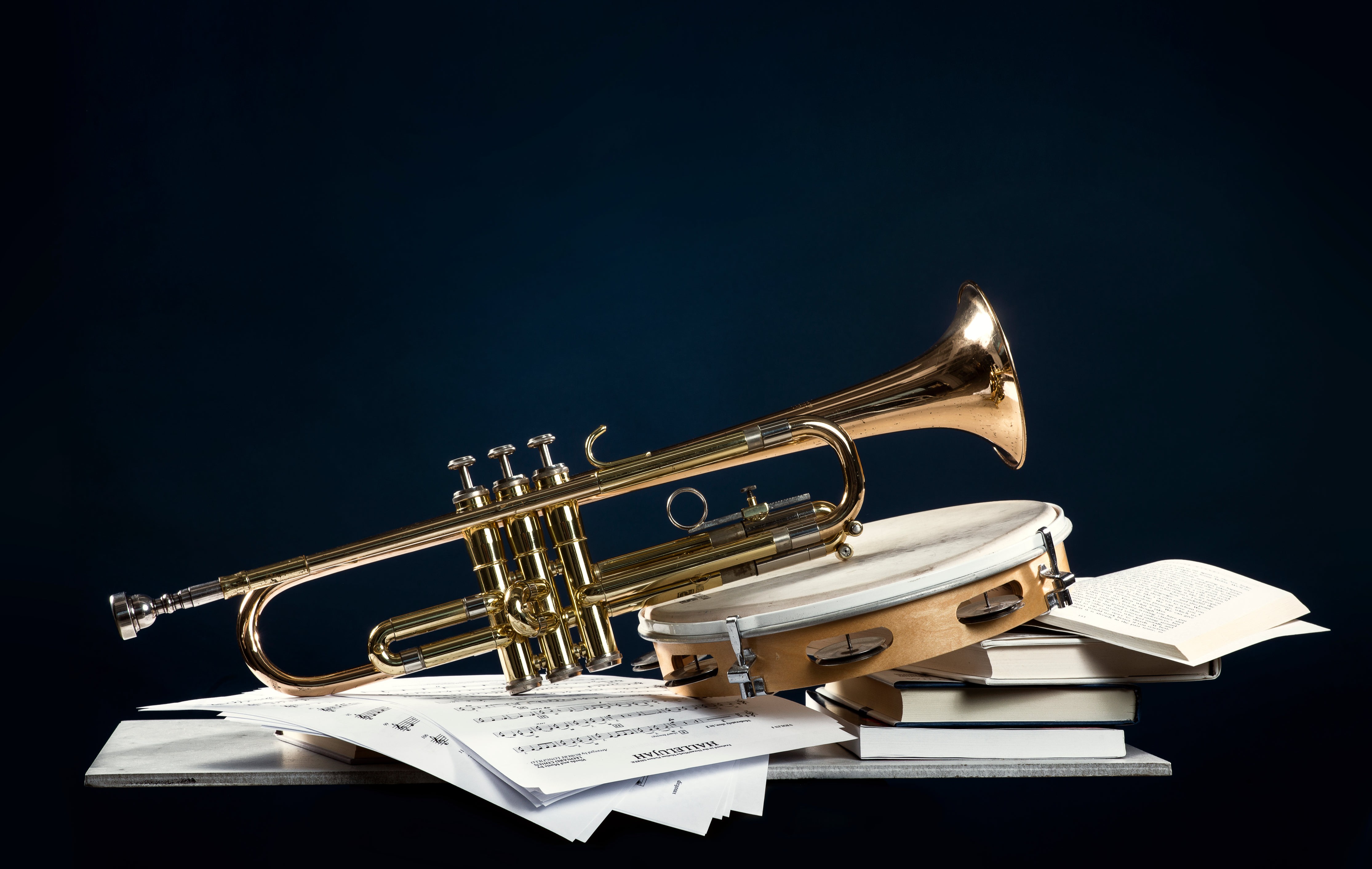 You can find brass instruments academic programs abroad on the StudyQA website. 