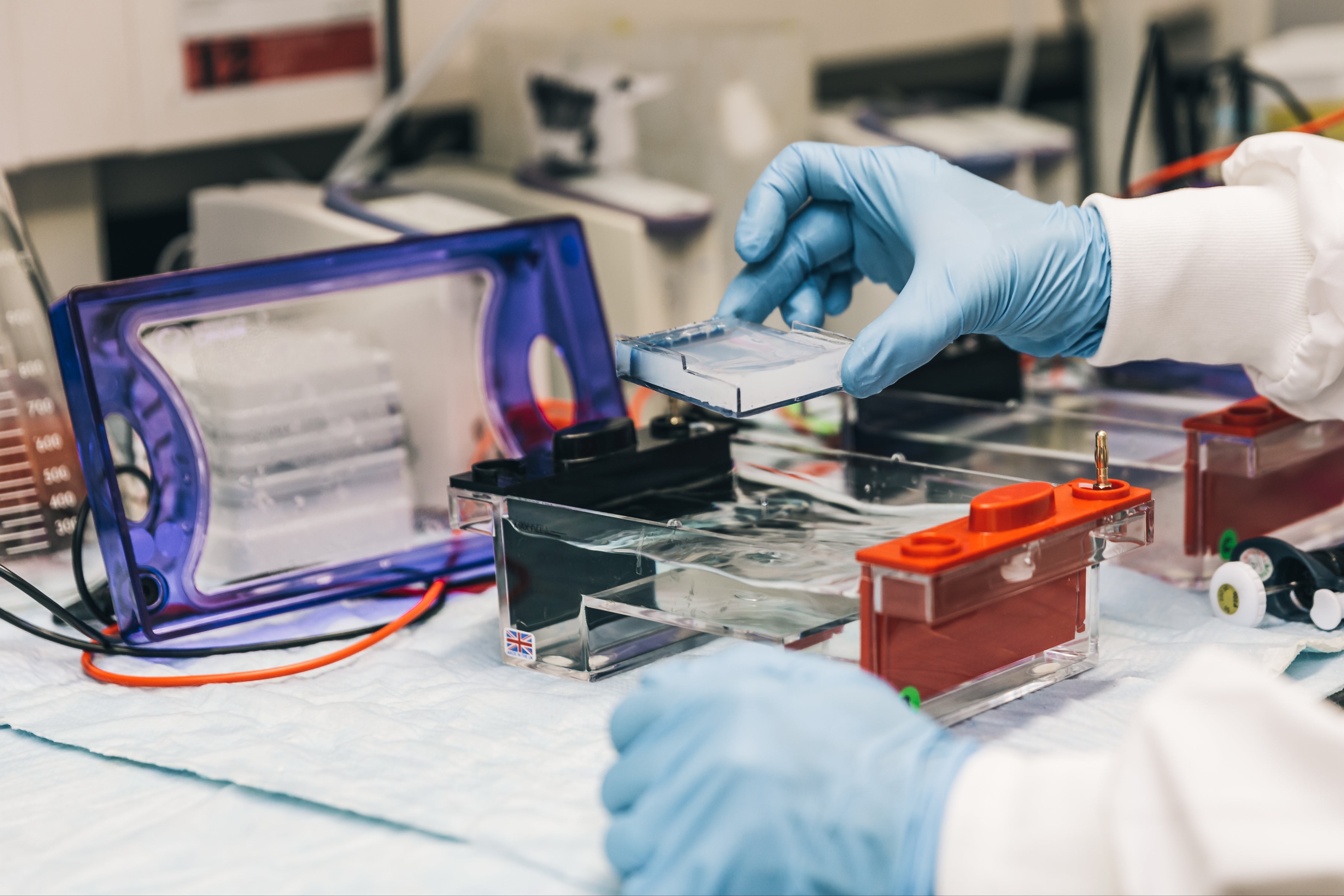 Degree programs in Microbial Genetics Learn more about microbial genetics programs at global universities on StudyQA.
